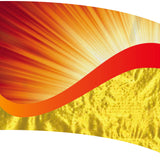 DSI In-Stock Hybrid Flags 7