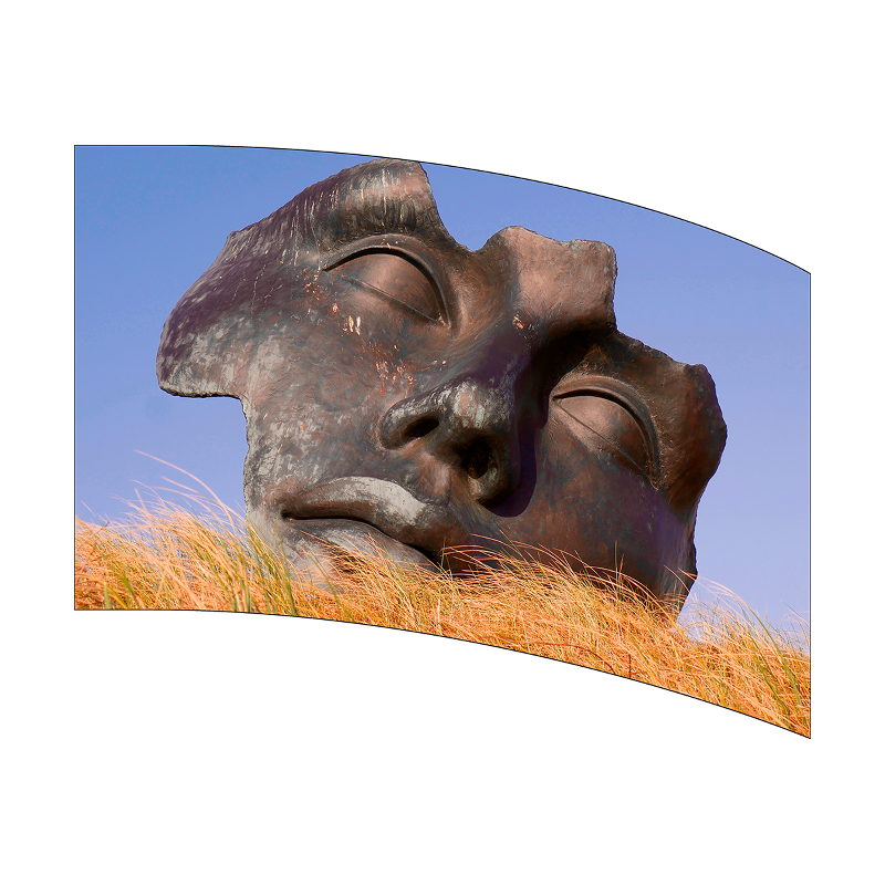 Bronze head sculpture on a grassy hill with a blue sky background