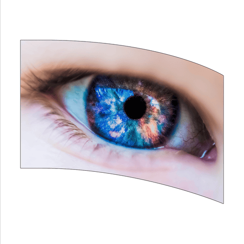 Close-up of a colorful eye with a white background