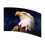 In Stock - Arc Flag (PGF046)