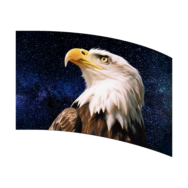Curved screen displaying a bald eagle against a starry night sky