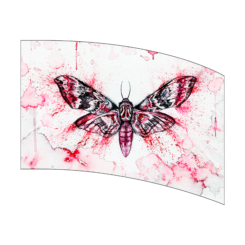 Moth design on a pink and white abstract background