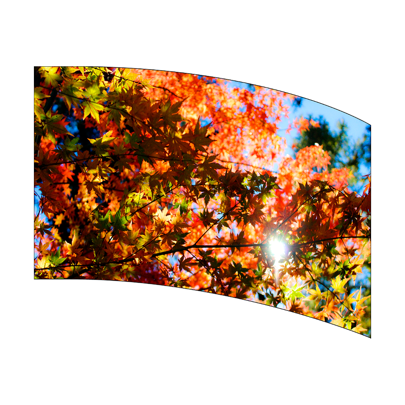 Curved digital display showing vibrant autumn leaves.