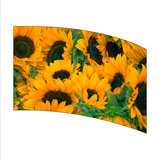 In Stock - Arc Flag (PGF103)