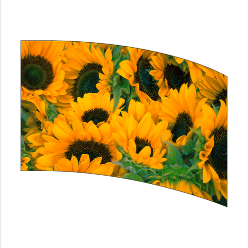Curved surface with sunflower pattern