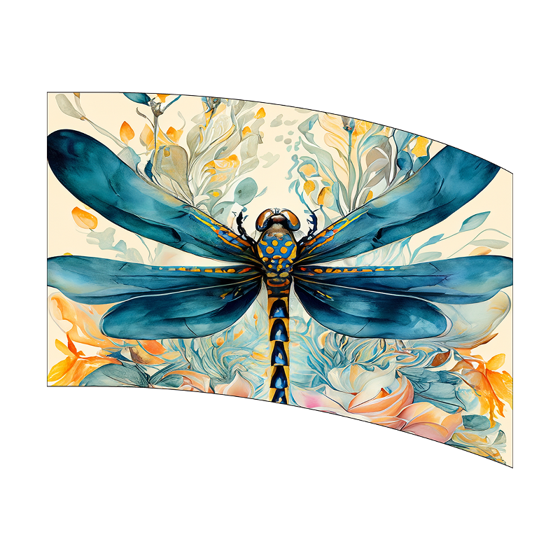 Colorful dragonfly illustration on a floral background