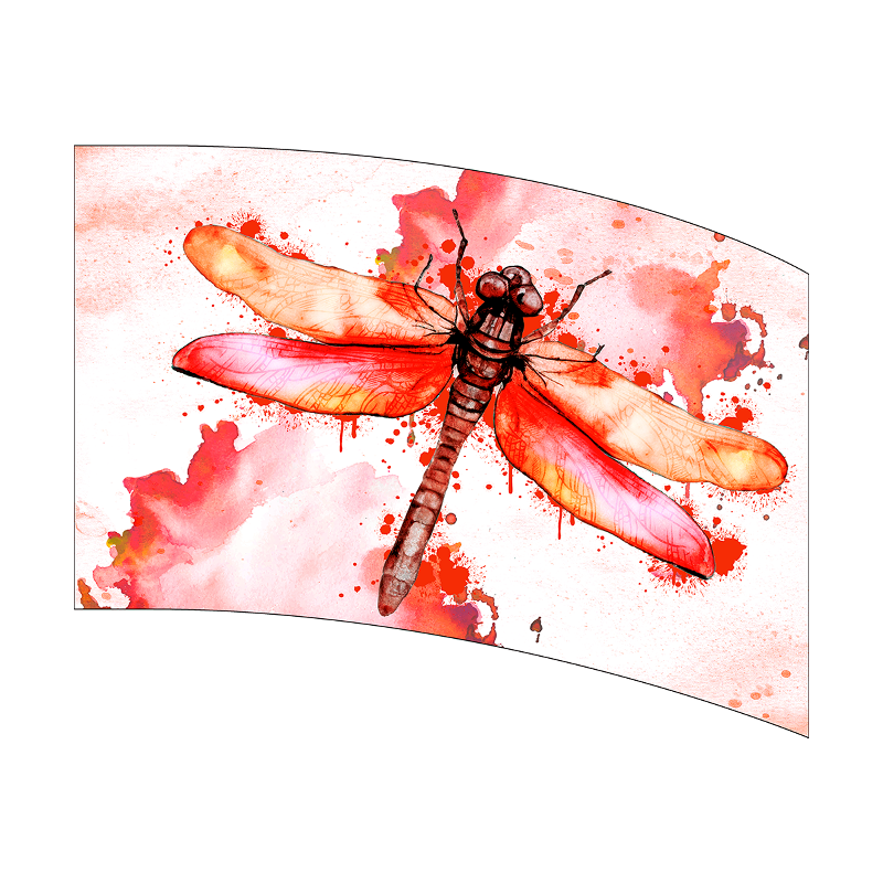 Colorful dragonfly illustration on a watercolor background