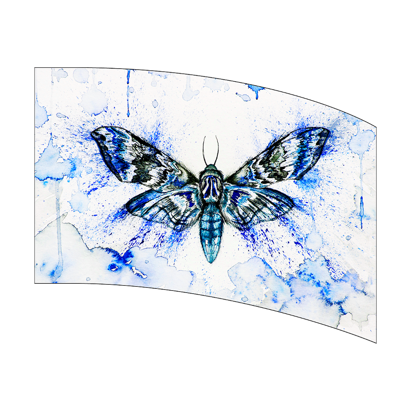 Moth design on a curved glass panel with blue and white abstract pattern