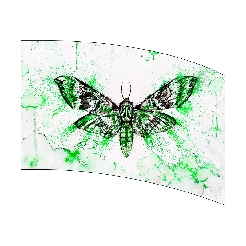 Moth design on a curved glass panel with green and white abstract pattern
