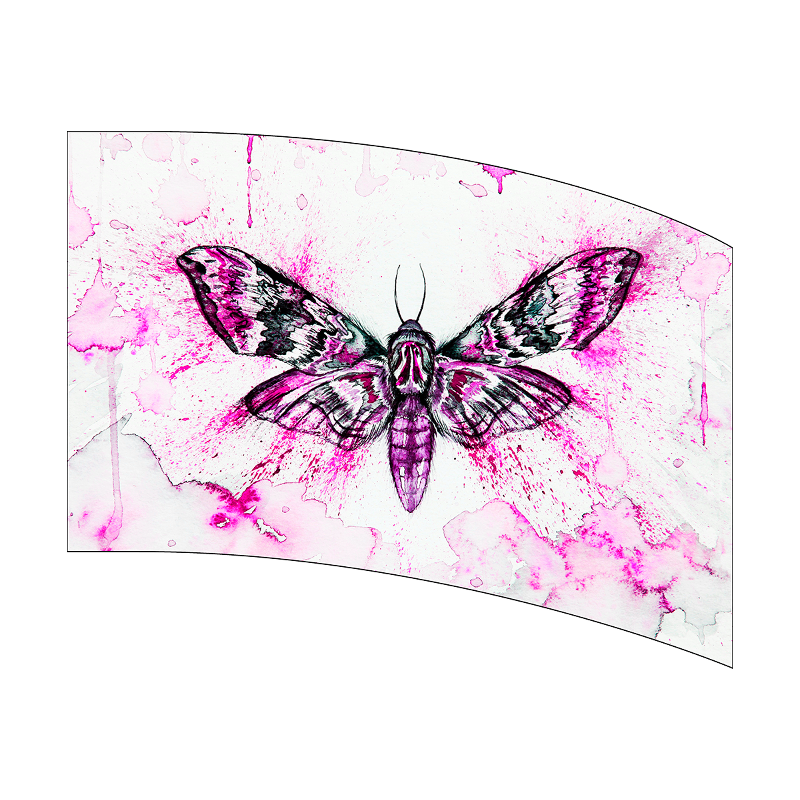 Moth design on a pink and white abstract background
