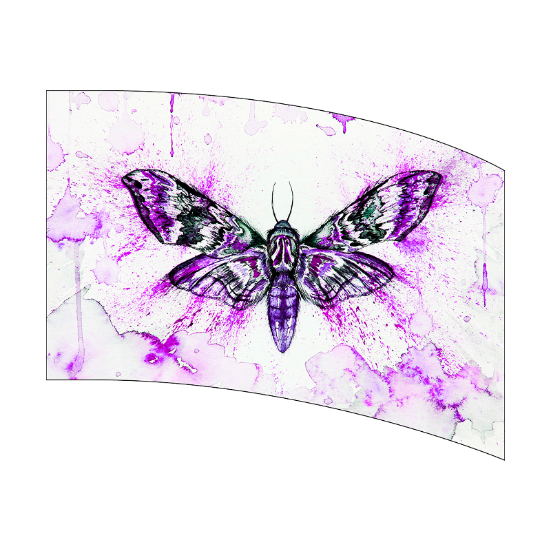 Butterfly design with purple and pink splashes on a white background