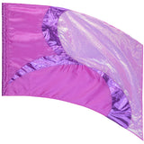 DSI In-Stock Performance Flags 12